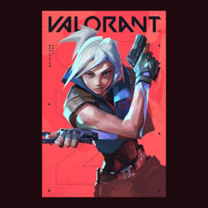 11,000 Valorant Points (VP)